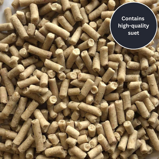 Hi - Energy Insect Suet Pellets - Haith's