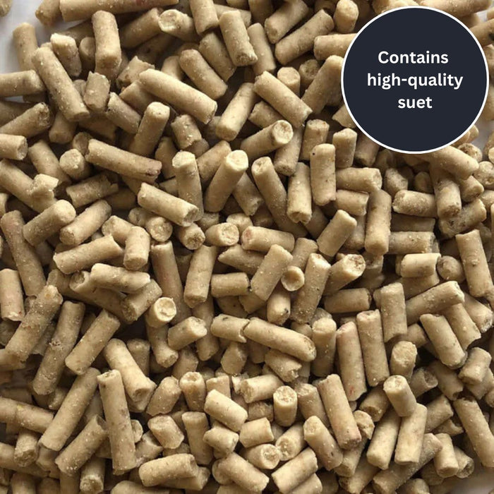 Hi-Energy Insect Suet Pellets