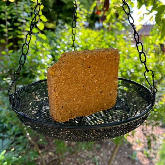 Hot Pepper Suet Cake on a hanging tray