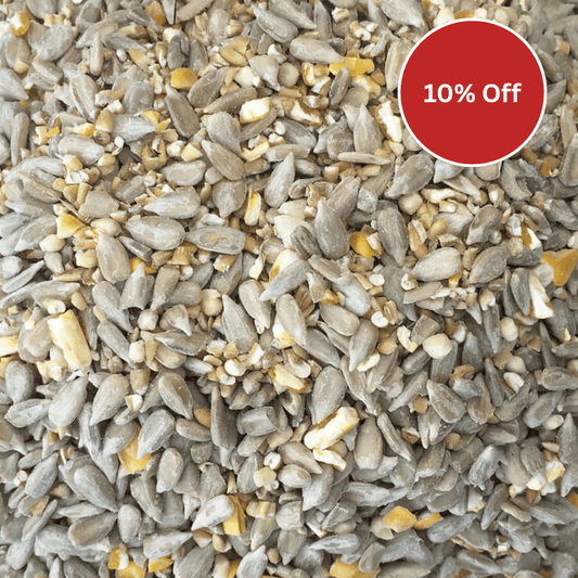 Huskfree Advance™ - Clean, No Mess Bird Food - Haith's UK
