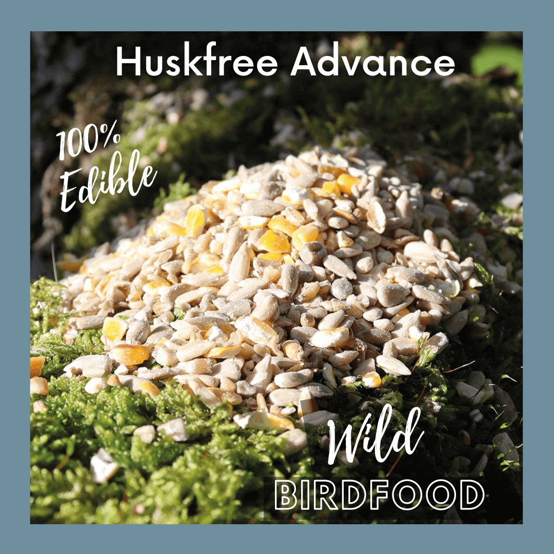 Huskfree Advance™ - No Mess Wild Bird Food - Haith's