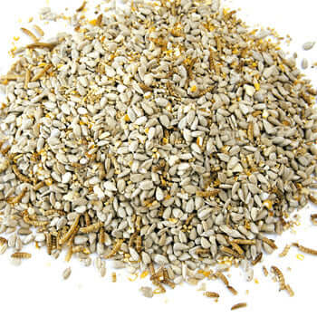 Huskfree Advance™ with Mealworms - No Mess Mix - Haith's UK