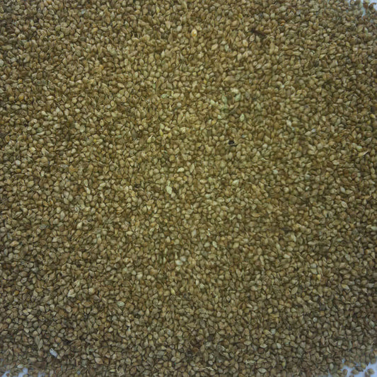 Japanese Millet for cage birds - Haith's