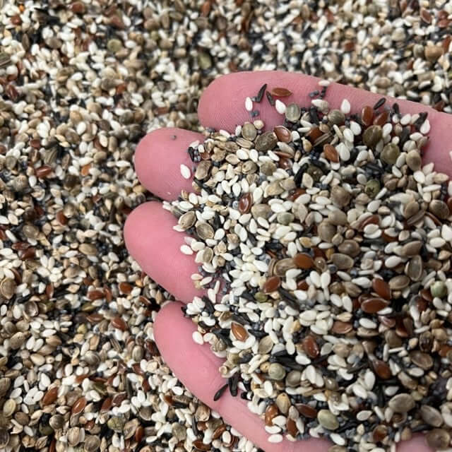 Kraker Tonic Grains™  been shown in a hand