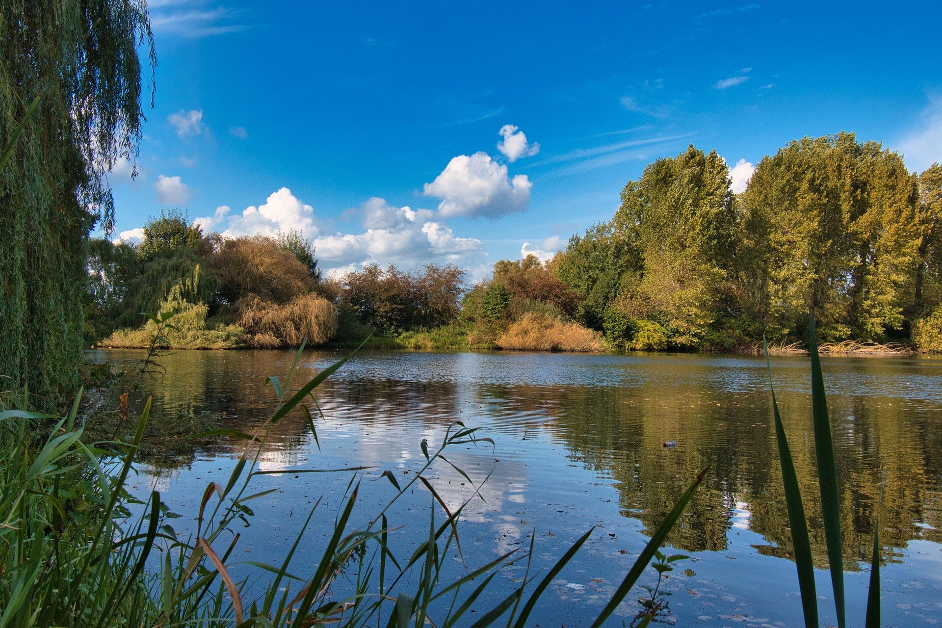 fishing lake with blue skies