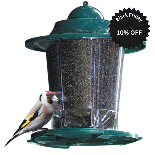 Lantern - Style Niger Seed Feeder - Haith's UK