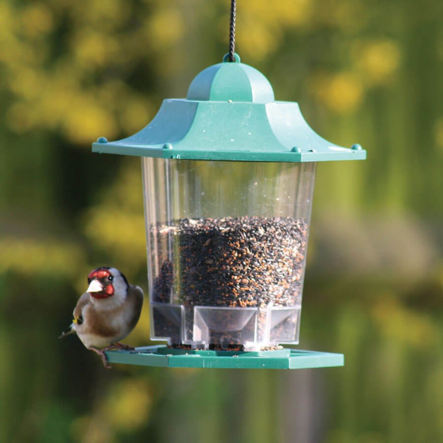 Lantern - Style Niger Seed Feeder - Haith's