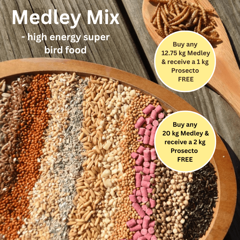 Medley™ - High Energy Super Bird Food - Haith's UK