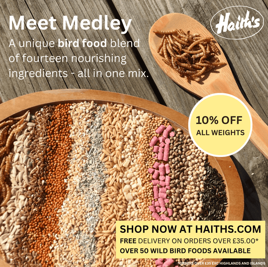 Medley™ - Super Bird Seed Blend - Haith's UK