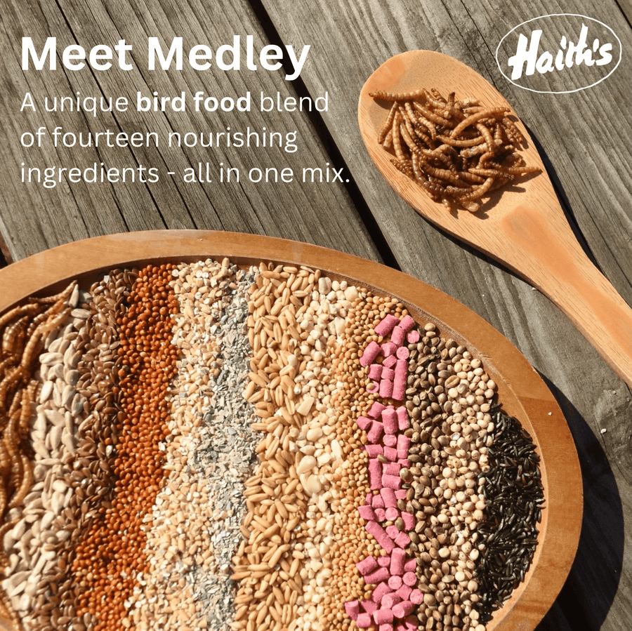 Haith's Medley wild bird seed blend