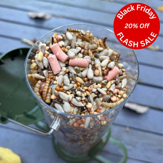 Medley™ - Super Bird Seed Blend - Haith's