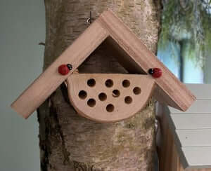 Wooden, house-shaped Bug Box with holes on the front and two decorative ladybirds. 