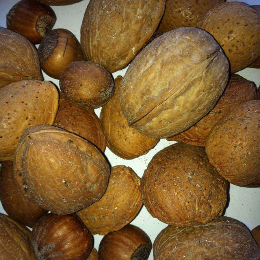 Mixed Large Nuts in Shell - Haith's