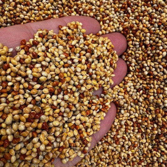 Mixed Millets - Haith's UK