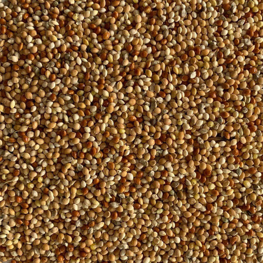 Mixed Millets for cage birds - Haith's