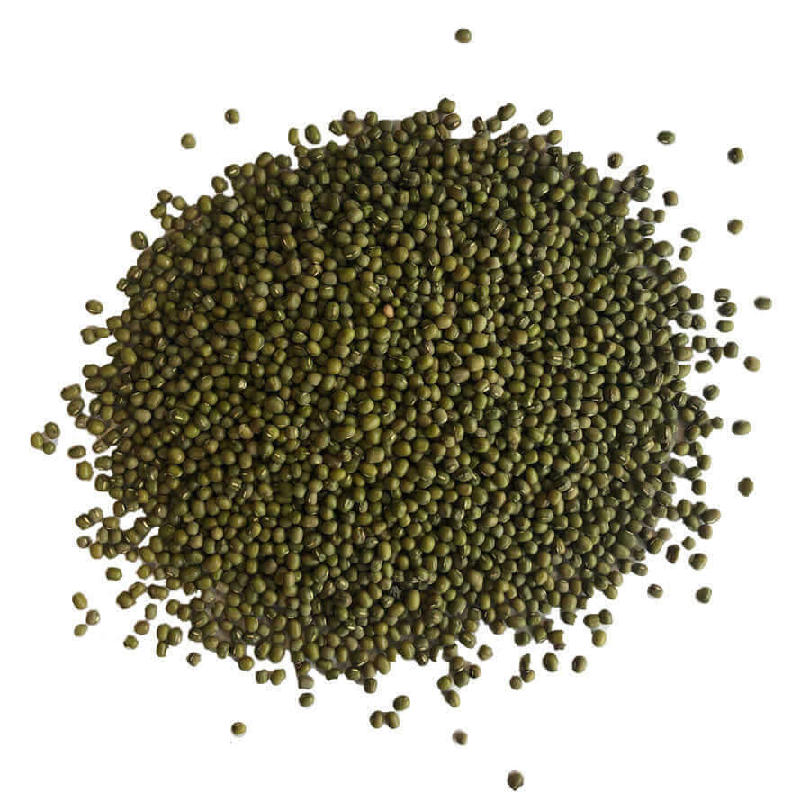 Mung Beans for budgies - Haith's