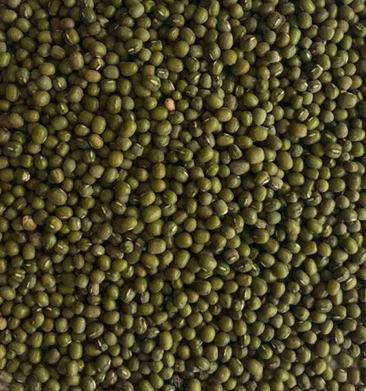 Green Mung Beans for budgies - Haith's