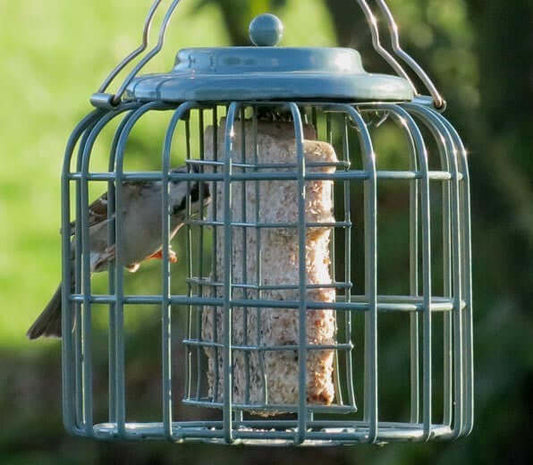 Nuttery Oval Suet Feeder - Haith's