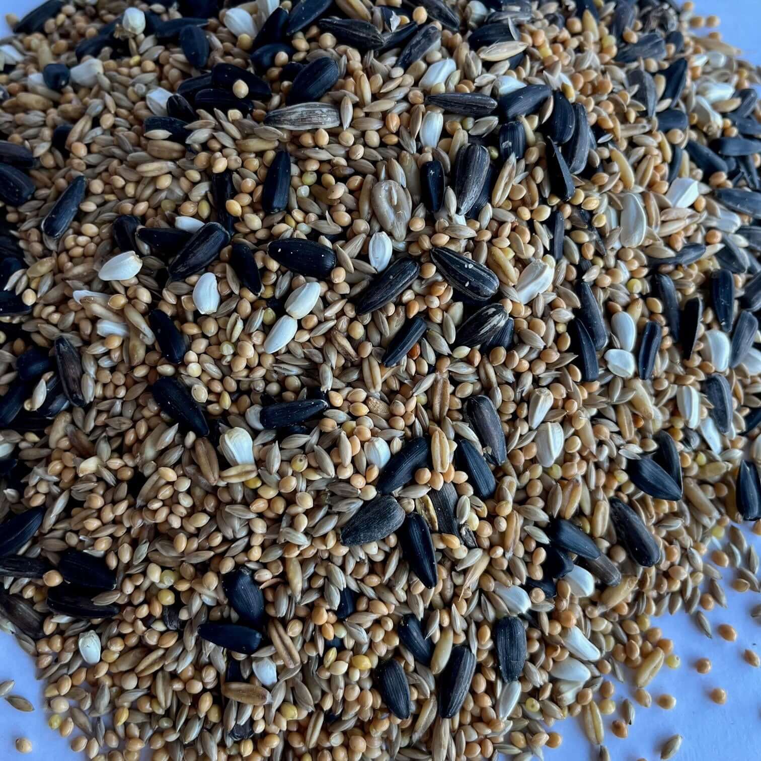 Parakeet Mixture | SuperClean bird seed – Haith's UK