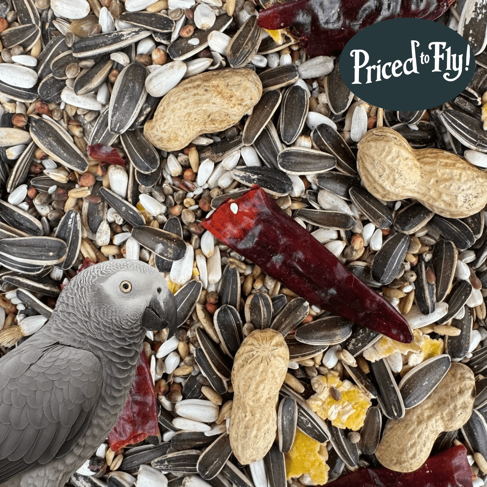 Parrot Food Superior - Haith's UK