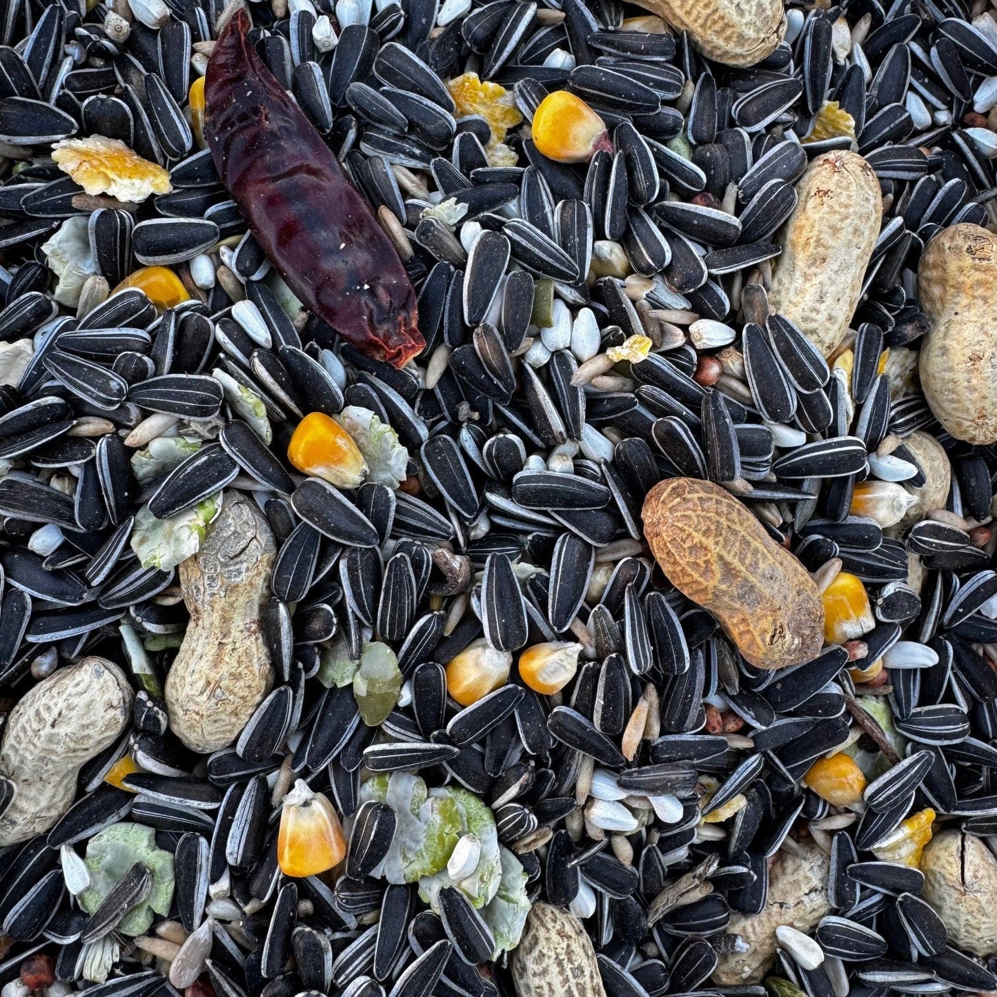 Parrot Food Superior - Haith's UK