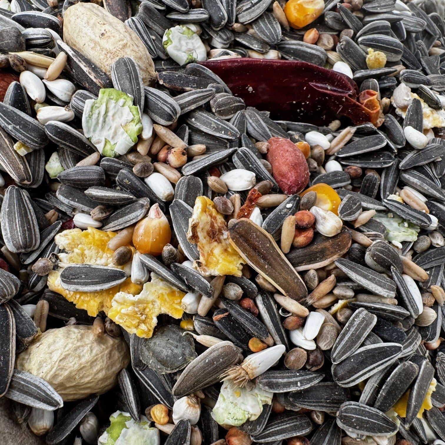 Parrot Food Superior - Haith's UK