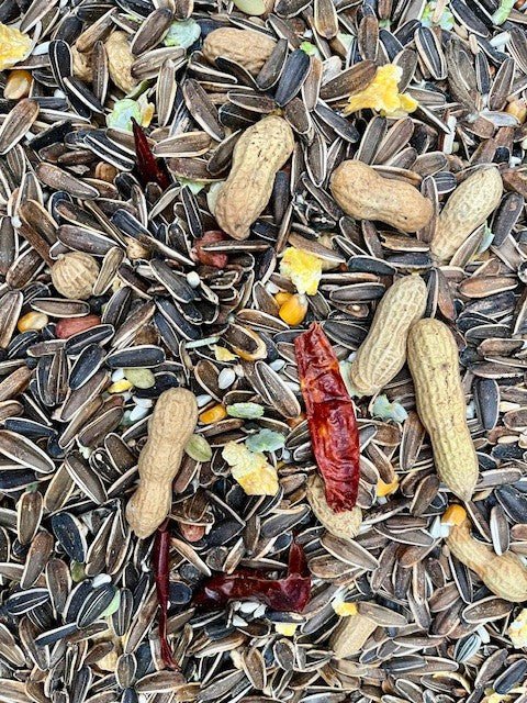 Parrot Food Superior - Haith's UK