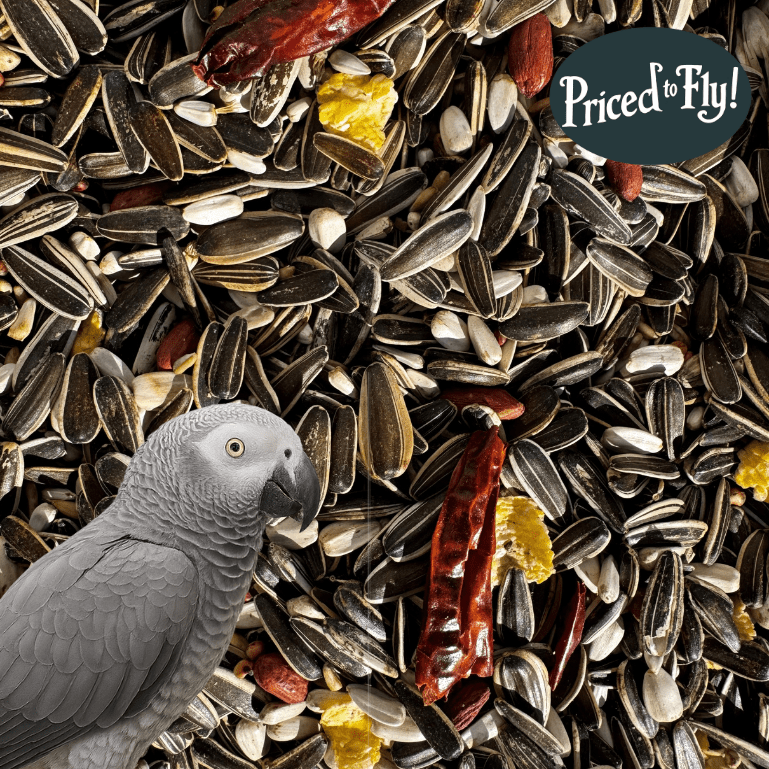 Parrot Food Superior - Haith's UK