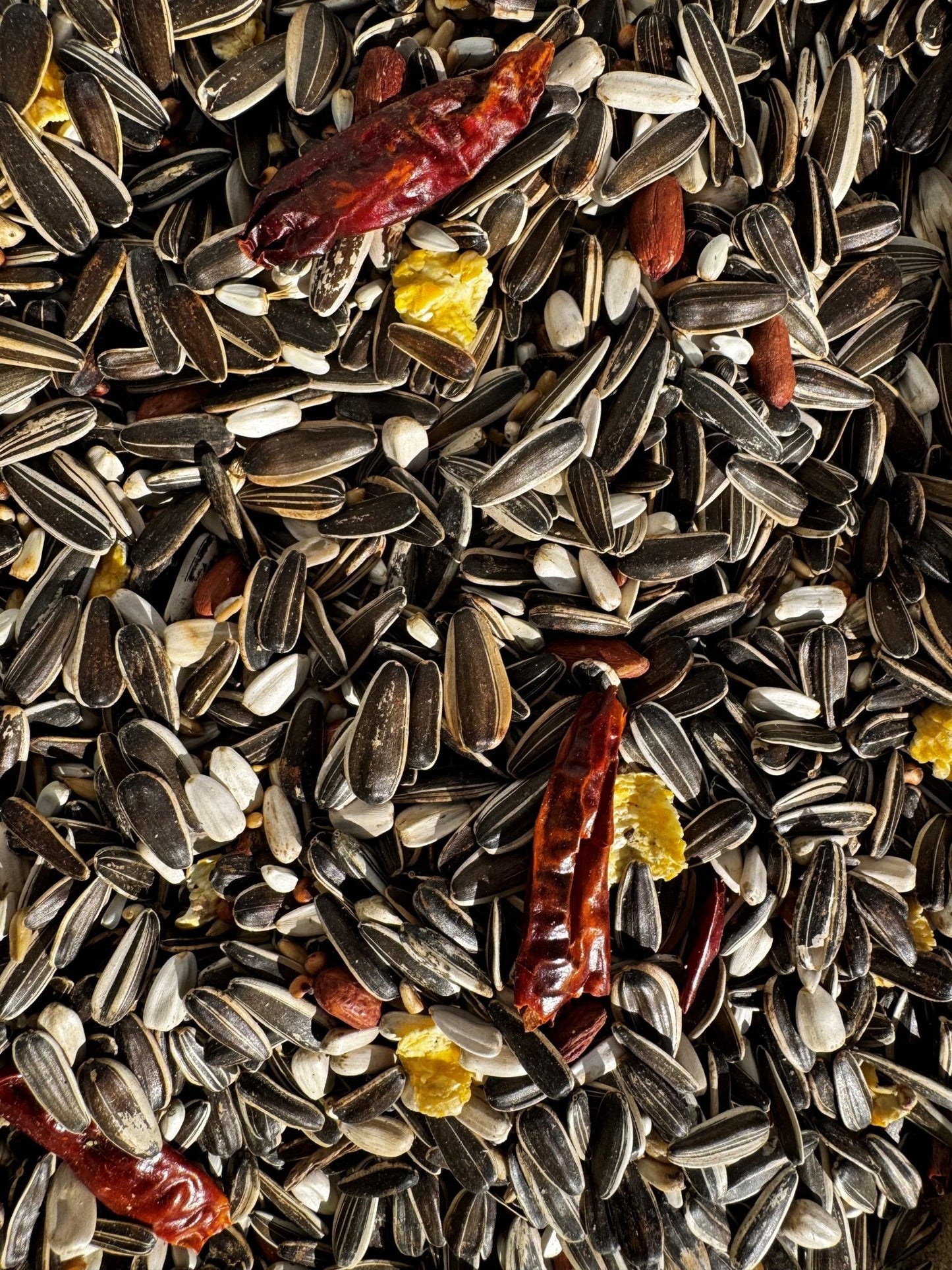 Parrot Food Superior - Haith's UK
