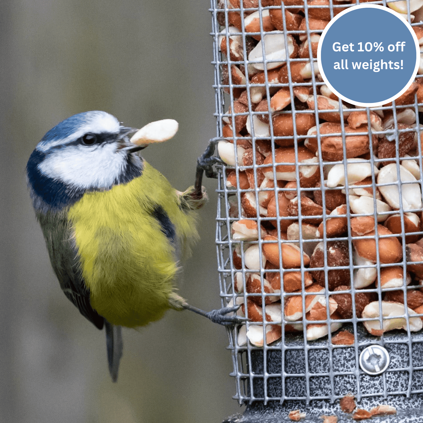 Peanuts for Birds - Premium Quality - Haith's