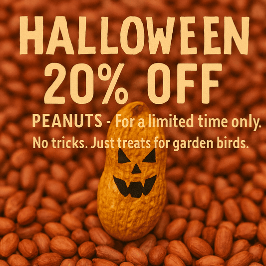 Peanuts for Birds - Premium Quality Wild Bird Food - Haith's UK