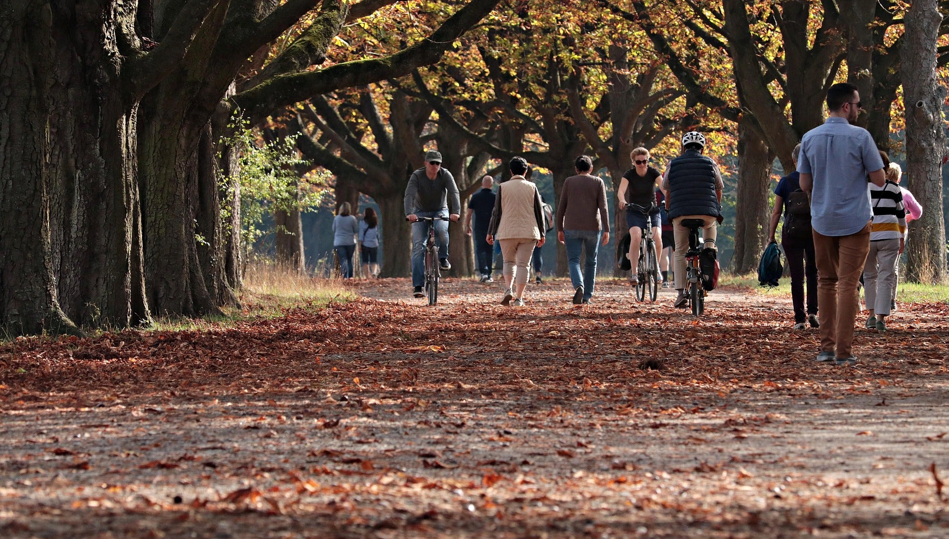 People walking and cycling along a tree-lined path in a park during autumn.