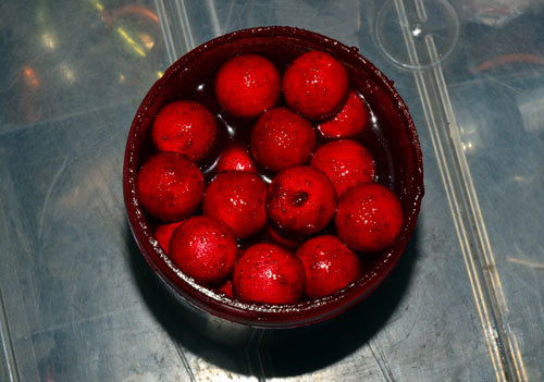 red glug for hookbait shaped into balls