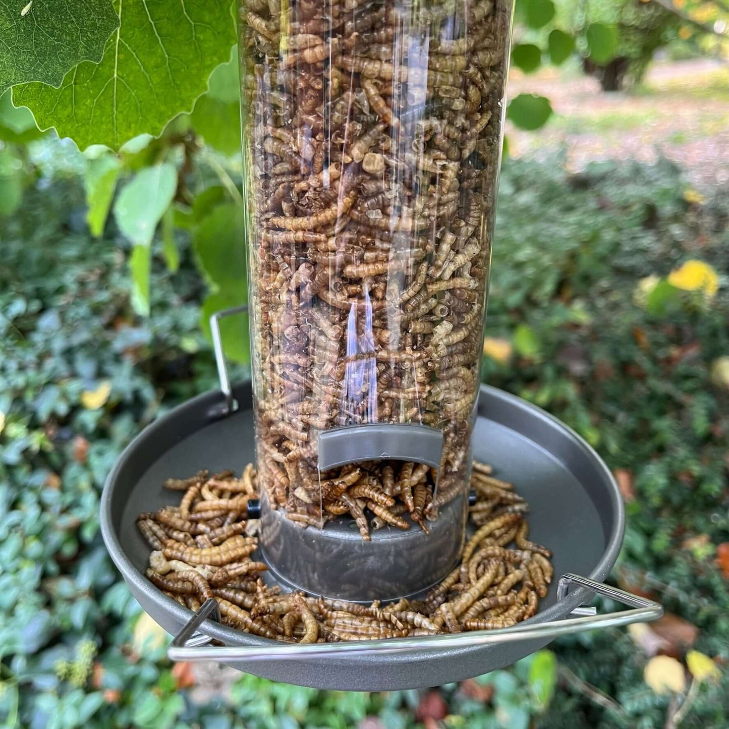 Pewter Flick 'n' Click Metal Mealworm Bird Feeder - Haith's