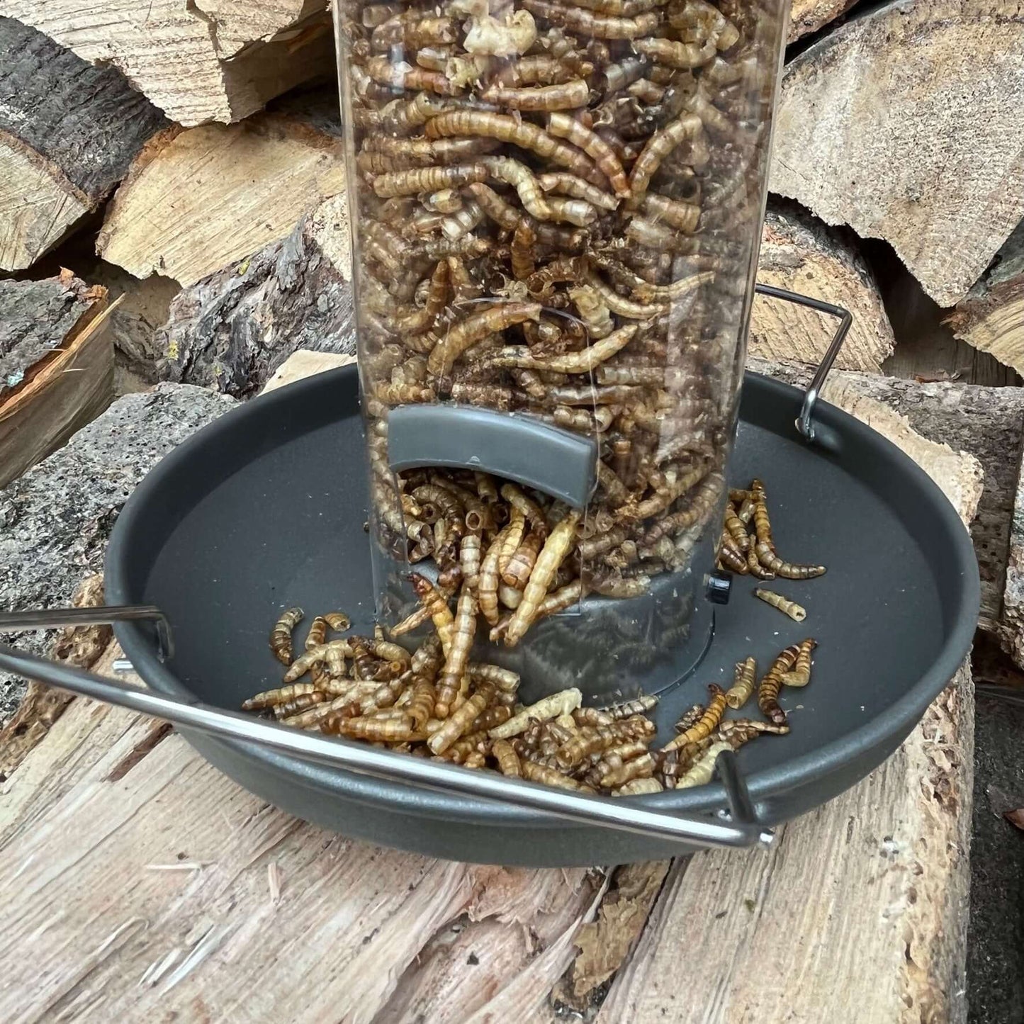 Pewter Flick 'n' Click Metal Mealworm Bird Feeder - Haith's