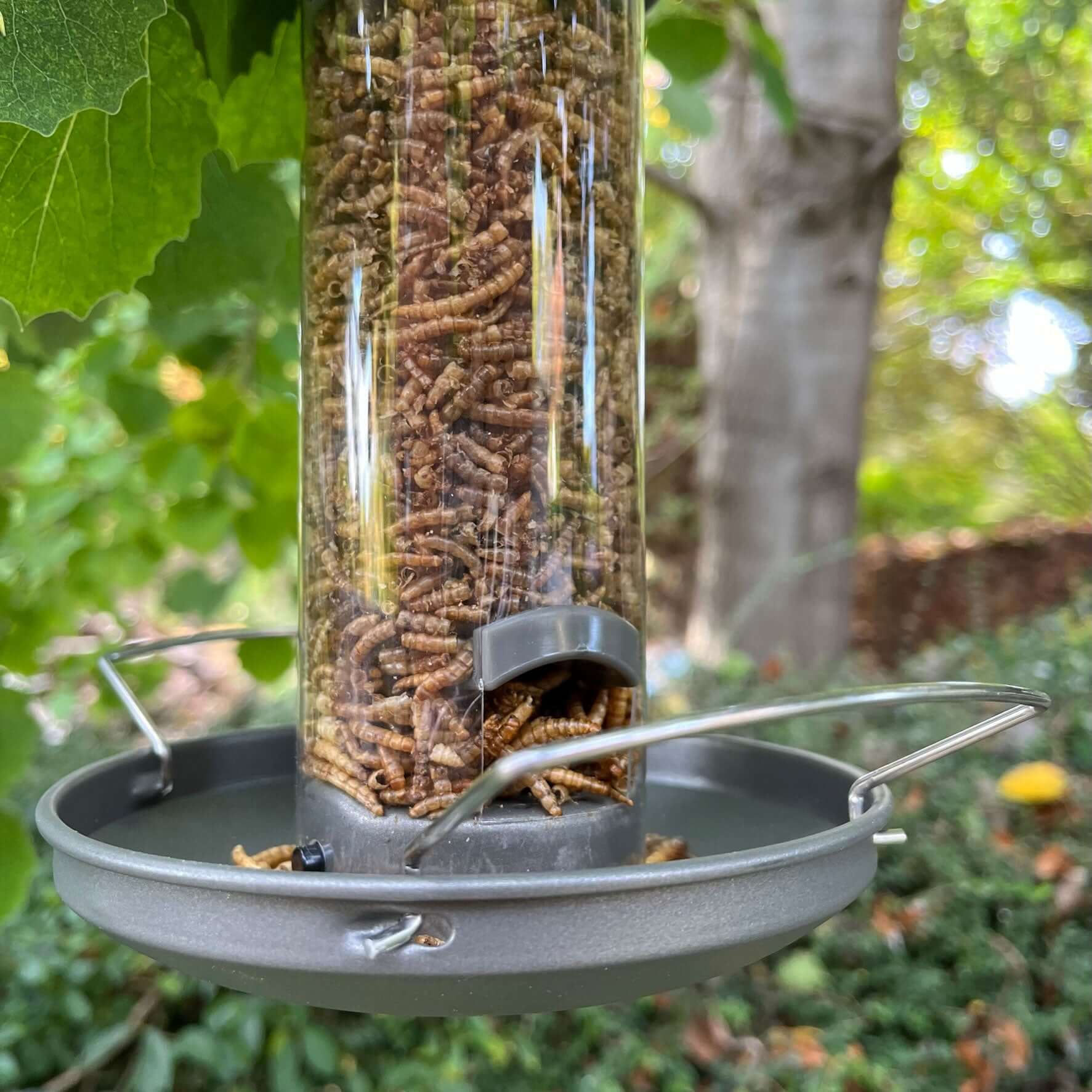 Pewter Flick 'n' Click Metal Mealworm Bird Feeder - Haith's