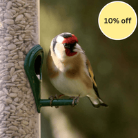 Premium Quality Sunflower Hearts - Haith's