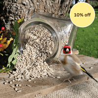 Premium Quality Sunflower Hearts - Haith's UK