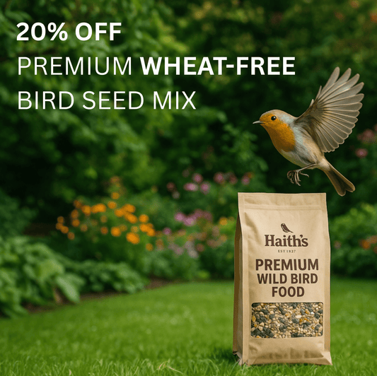 Premium Wheat - Free Bird Seed Mix - Haith's UK