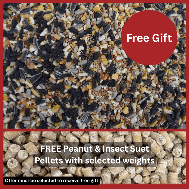 Premium Wheat-Free Bird Seed Mix – Now with Peanut Granules - Haith's UK