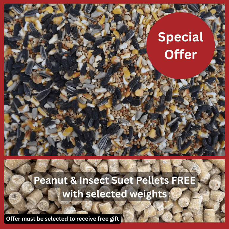 Premium Wheat-Free Bird Seed Mix – Now with Peanut Granules - Haith's UK