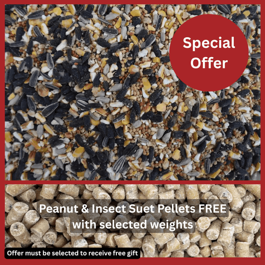 Premium Wheat-Free Bird Seed Mix – Now with Peanut Granules - Haith's UK