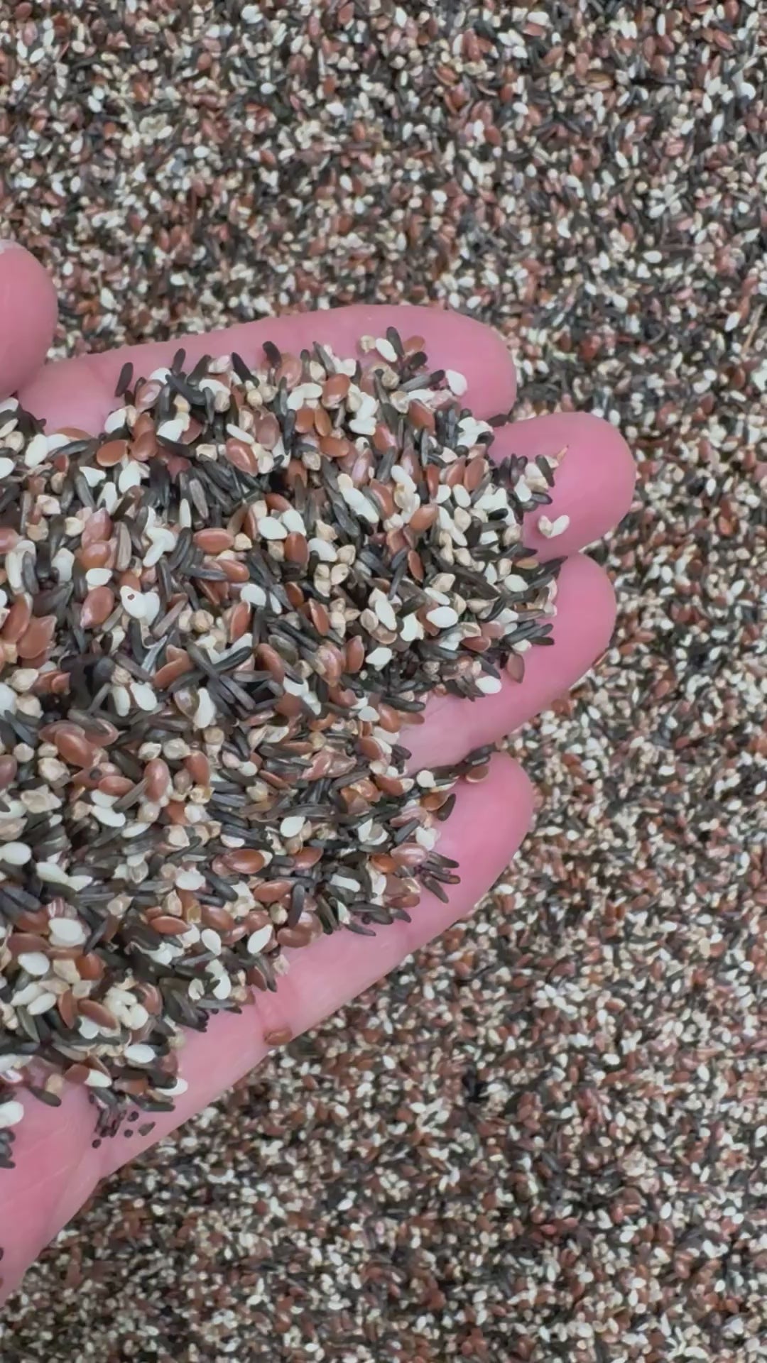 Condition seed without rapeseed