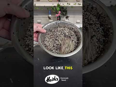 Easisoak Seed for sprouting