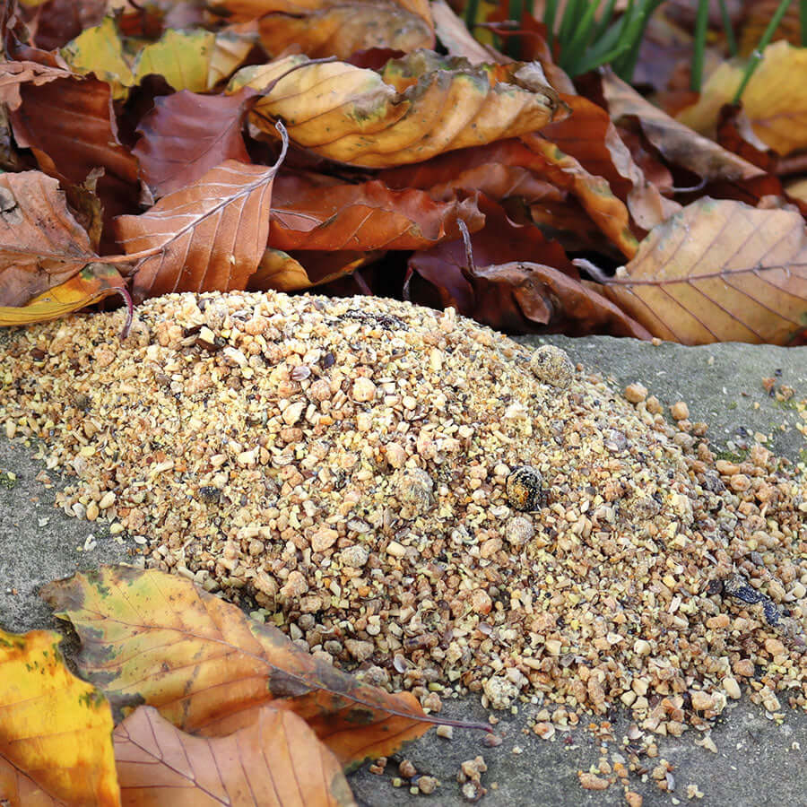Prosecto insectivorous food for ground-feeding garden birds