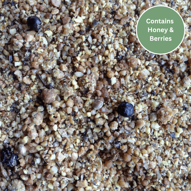 Prosecto™ Insectivorous Food - Advanced Softfood for Ground - Feeding Birds - Haith's UK