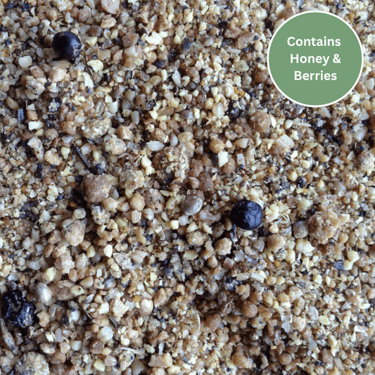 Prosecto™ Insectivorous Food - Advanced Softfood for Ground - Feeding Birds - Haith's UK