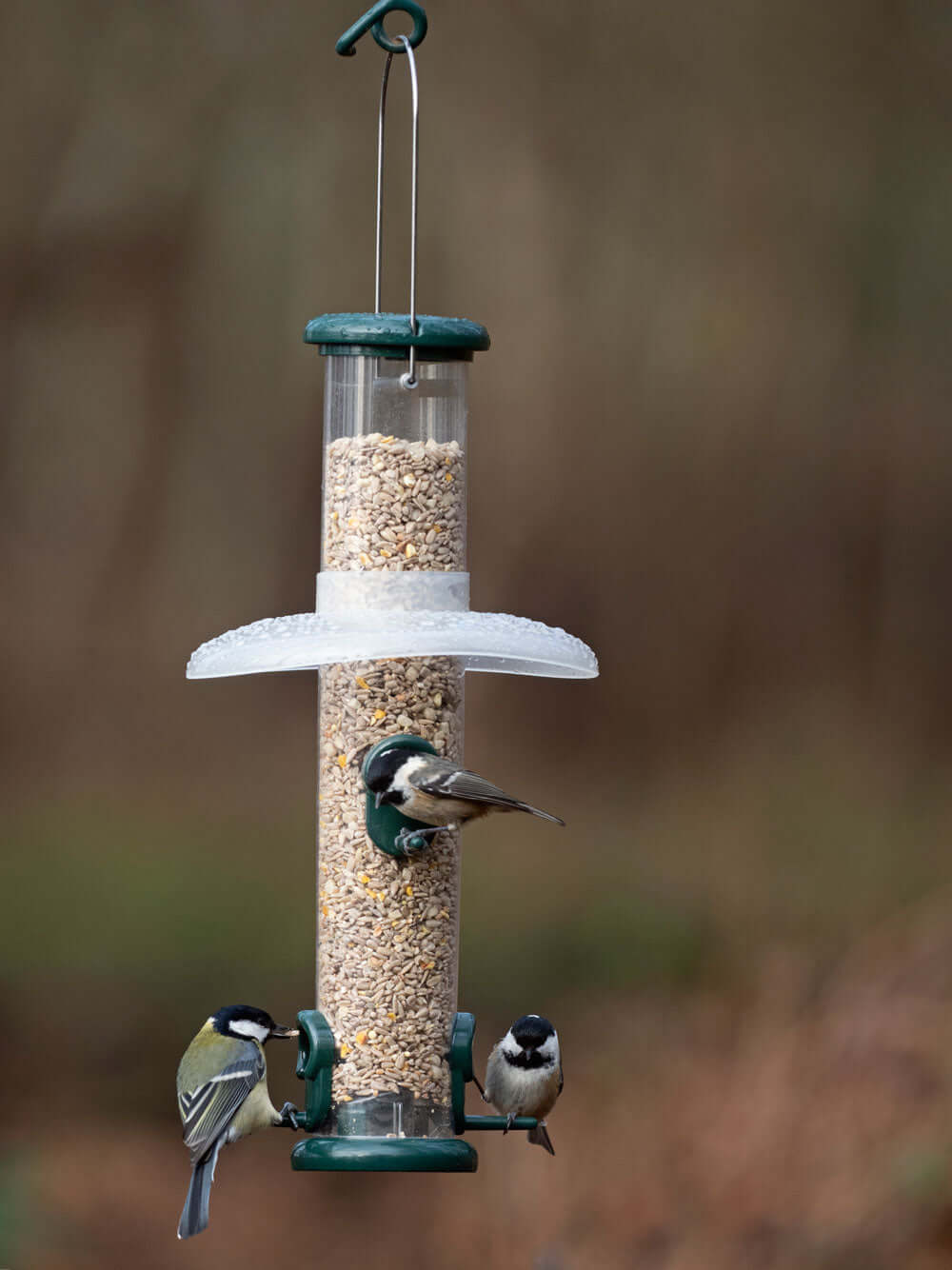 Rain Away Bird Feeder Rain Guard - Haith's