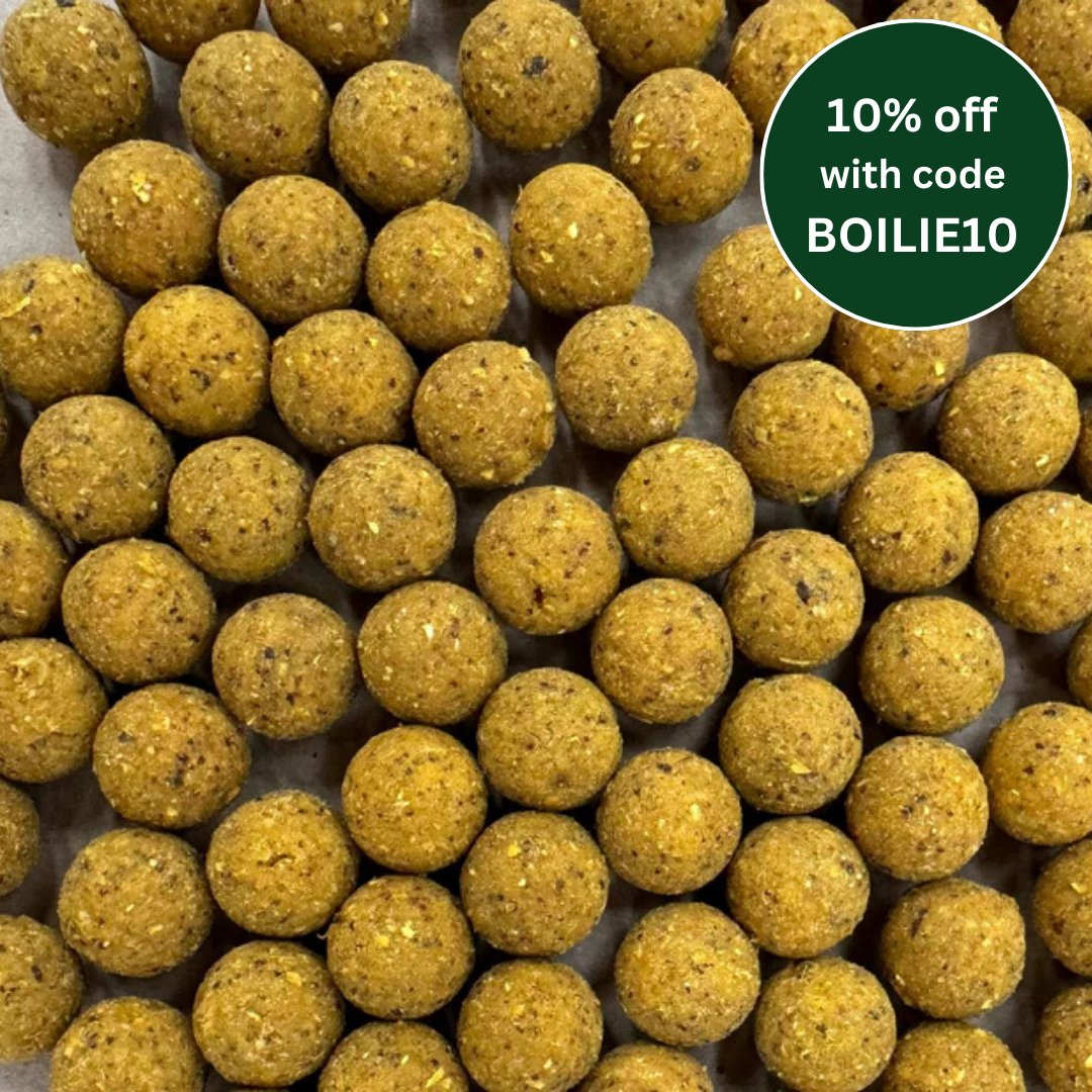 Robin Gold Prototype Boilies - 500g - Haith's