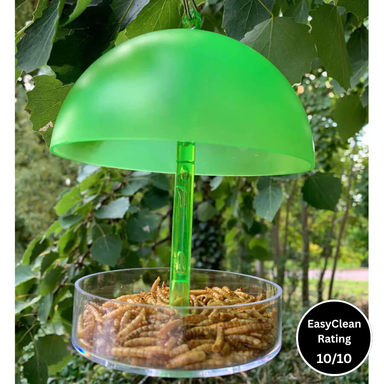 Robin & Small Bird Feeder - Haith's UK